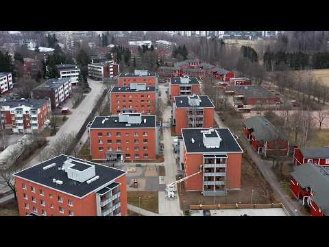 Kylässä Hekalla: Saniaistie 3