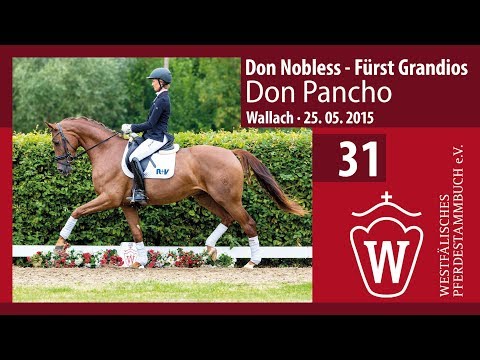 31 Don Pancho  Wallach v. Don Nobless - Fürst Grandios