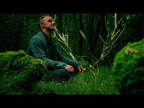 Noreia - Setev [Official Video]