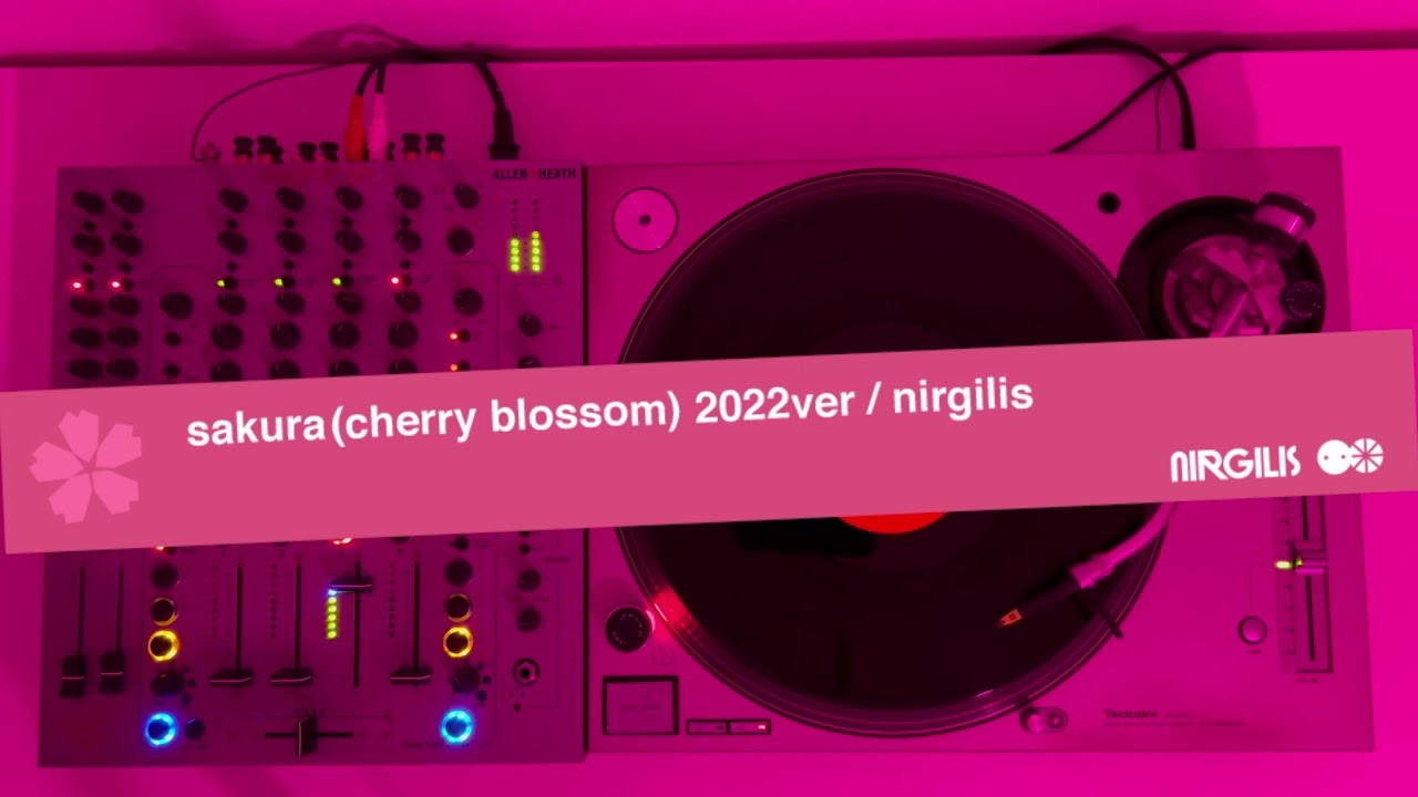 ニルギリス sakura (cherry blossom)2022ver.