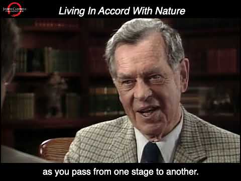 Living In Accord With Nature