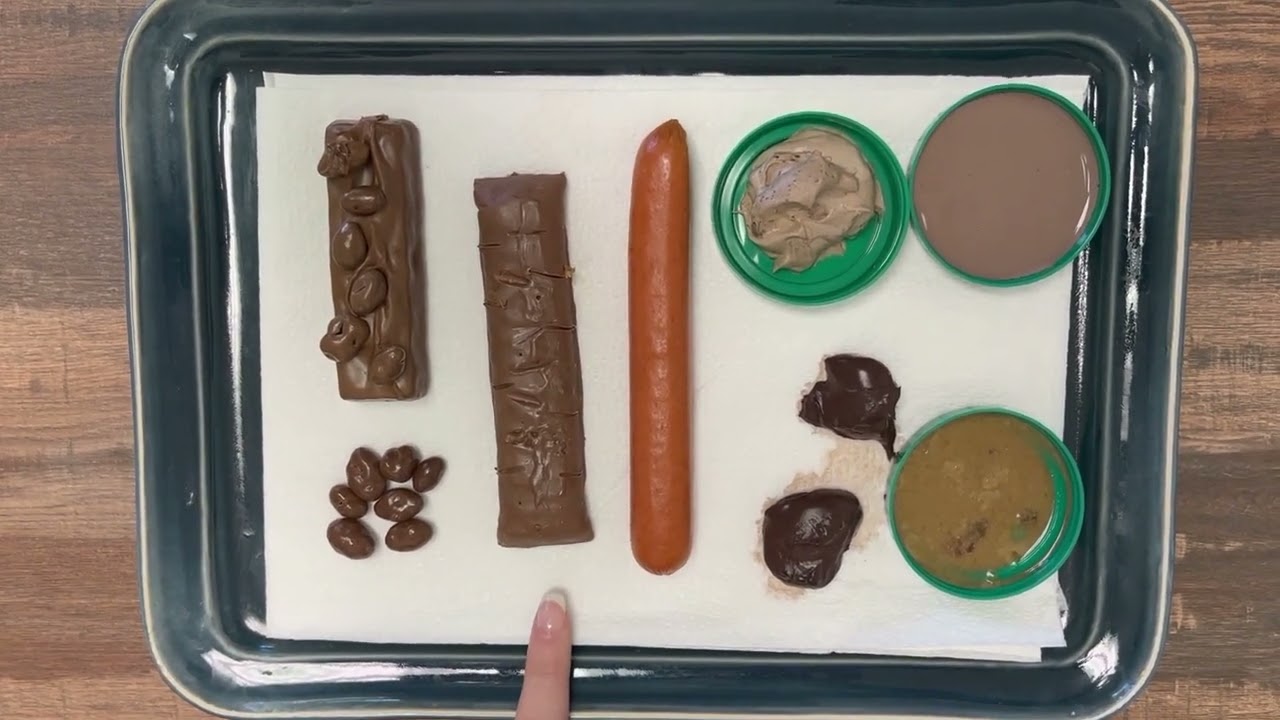 Bristol Stool Chart Education Video