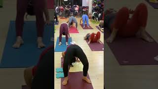 Download lagu Wheel pose #heal #yoga #by Ravi Shankar Kumar from Jamshedpur india 🇮🇳 mp3 Download lagu Wheel pose #heal #yoga #by Ravi Shankar Kumar from Jamshedpur india 🇮🇳 mp3