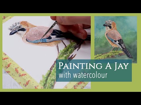 Watercolour Birds | Jay Timelapse Painting