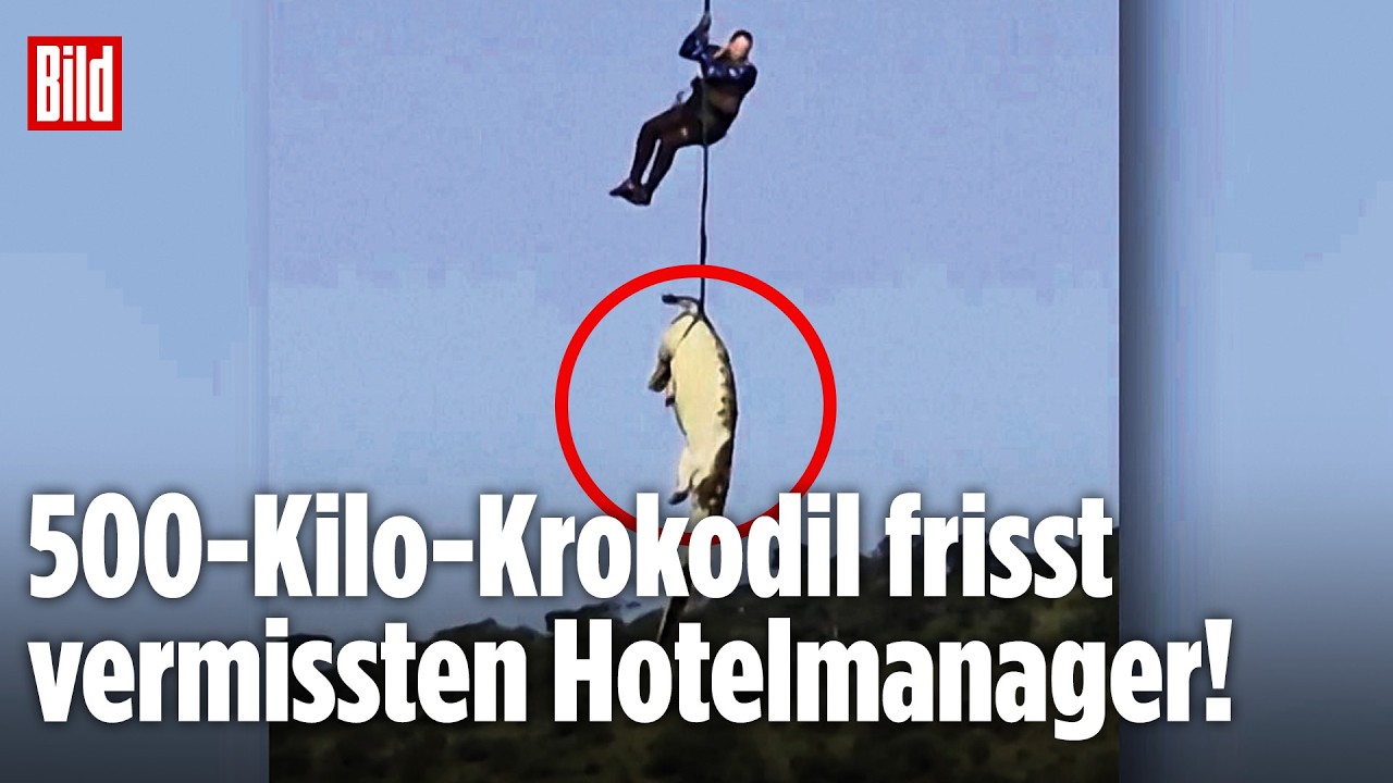 SCHOCK IN SÜDAFRIKA: 500-Kilo-Krokodil soll vermissten Hotelmanager gefressen haben!
