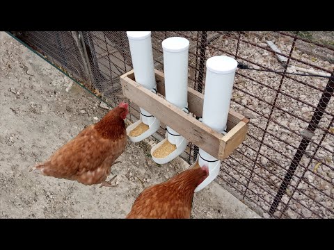 , title : 'Comedero para GALLINAS y POLLOS Fácil de hacer en PVC'