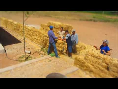 Straw bale wall construction