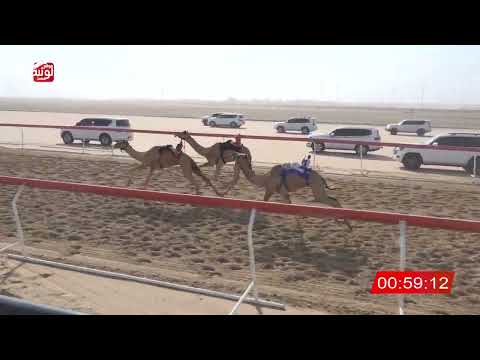  ش 26 (الشبابي) لـ سلطان يريو محمد المنصوري 3:03:00 , شارة الصندوق 2026/08/30 فطامين الوثبة 