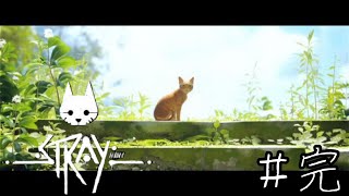 陽の光が暖かい・・・【Stray】#６(終)