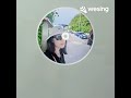 แสงสุดท้าย Orathai Pannont Al Cover Songs