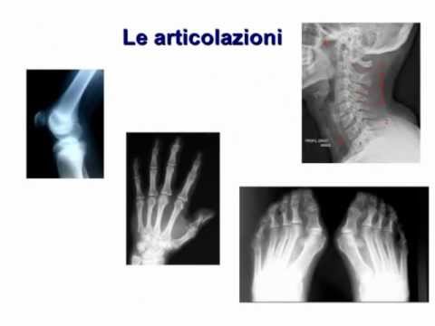 Articolazioni sportviki Temperatura dolente lombo aumentata