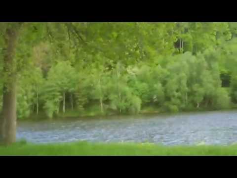 film lac de Chamboux dans le Morvan en Bourgogne FRANCE
