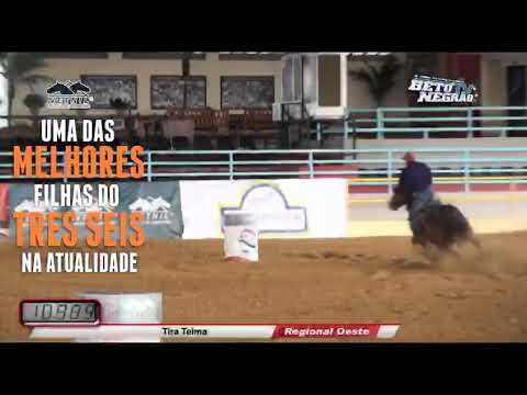 Captiva Six promocional