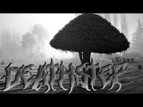 Bazaruz & Padifer - Lonely Entity