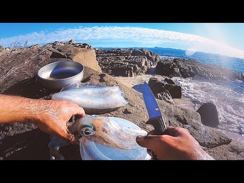 Eat What You Catch, Squid 2 Ways - Overnight Solo Island Camping - Day 1