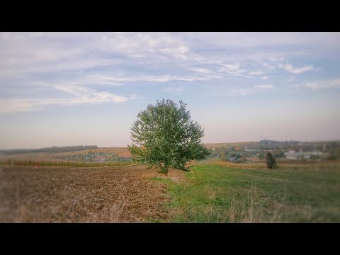 Războieni Neamț | Culori de toamnă