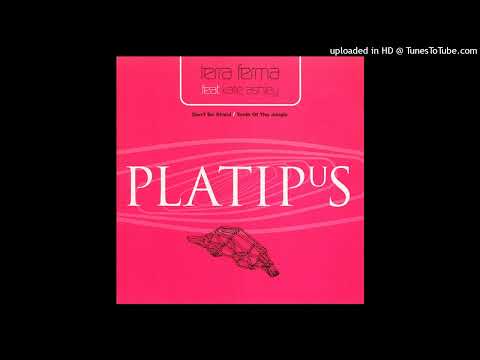 Terra Ferma Feat. Katie Ashley - Teeth Of The Jungle