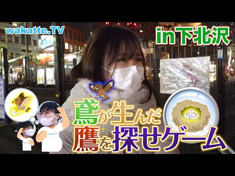 【新企画】凡才でも天才を生む！？鳶が生んだ\鷹\を探せゲーム！！【wakatte.TV】#490