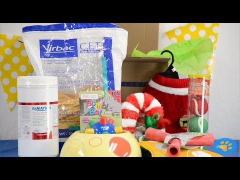 Otis & Claude Fetching Fashion Holiday Santa Sweater - Medium Video