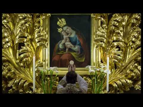 Veš, o Marija - ljudska