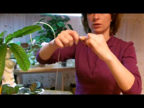 Bewässerungssystem Selbstgießsystem Schnur herstellen Usambaraveilchen saintpaulia african-violet