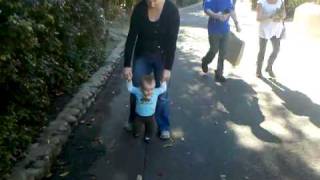 preview picture of video 'Benjamin walks san diego zoo'