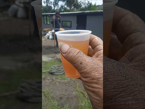 UN FUERTE DIA DE TRABAJO ...UN RICO GUARAPO ..DE MACHETA CUNDINAMARCA ...