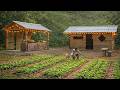 Doctor left the city for the forest, built a farm, gardened, hunted, cooked in the wilderness