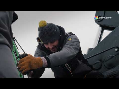 THE WOODCUTTER INTERN | Undercut: Wooden Gold