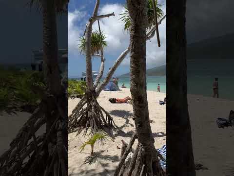 Thumbnail for Day trip to Mystery Island, Vanuatu 🏝️🚢 #bumbikids #vanuatu #cruise #travelwithkids #mysteryisland