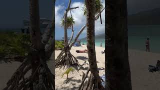 Day trip to Mystery Island, Vanuatu 🏝️🚢 #bumbikids #vanuatu #cruise #travelwithkids #mysteryisland