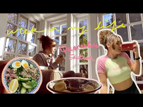 week in my life of 305215th quarantine (: