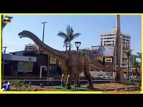 Tv Educativa Giro Pela Cidade Avenida São Luiz - Marília S.P.