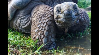 Galapagos: Things to know before planning your trip