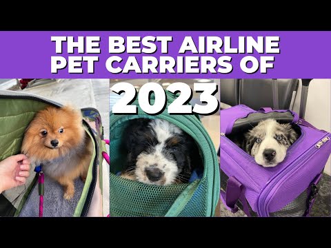 Top 6 Airline-Approved Pet Carriers for Traveling with Your Pets