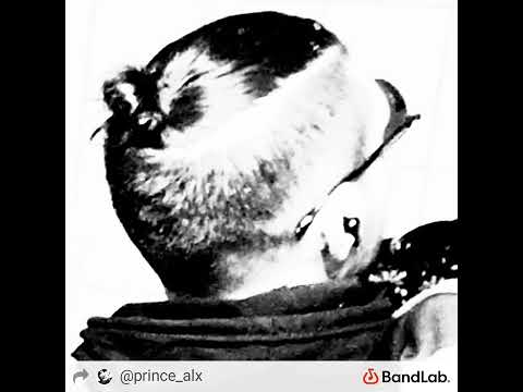 Alex P. - Can't go back by Alex Prince