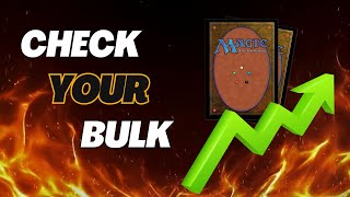 Check your Bulk! MTG