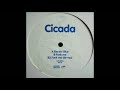 Cicada - Electric Blue