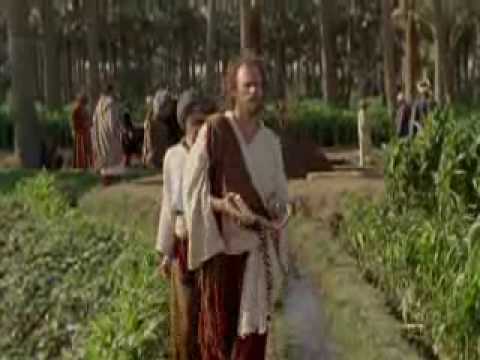 Egypt : Secrets of the Hieroglyphs 4/7