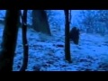 Ghost- Elizabeth Music Video (by ammon) 