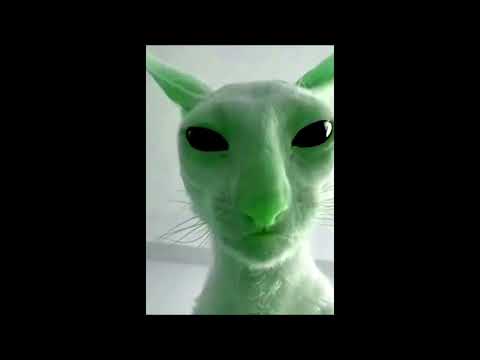 Glorp Norp (Official Audio)