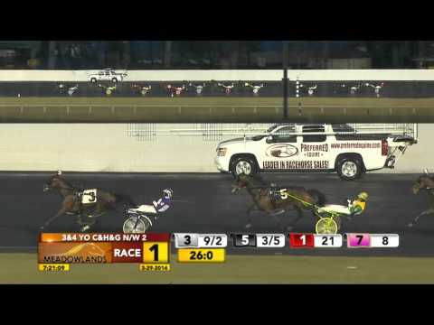 March 29, 2014 - Race 1 - Mr. Big Load