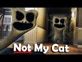 We Adopted A Cat And Now We're Cursed (Garry's Mod)