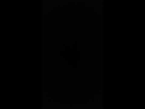 CzuuX x SKINNY - PRAWDA (CZUUX USUNĄ WIĘC JA WSTAWIAM)