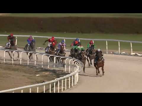 2023.03.26. 09. futam - ARANYESŐ HENDIKEP (III.o.) (szintetikus pálya)