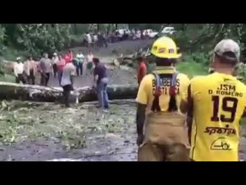 Baumstamm sägen unter Spannung geht schief