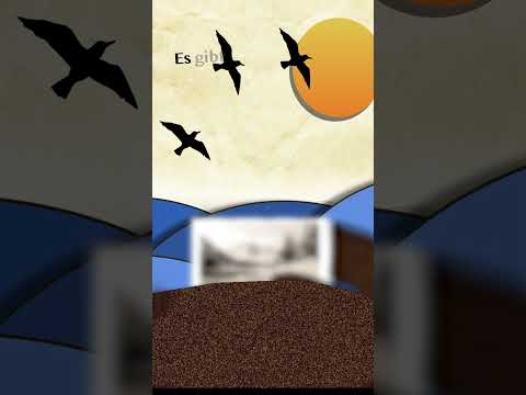 Johannes Faßler Music Video