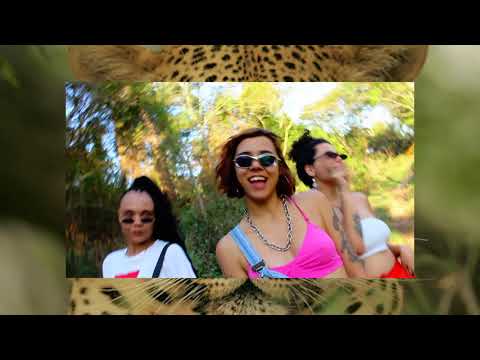 PXTMARGINAL - Flow de Onça prod. VIVÊNCIA.rec