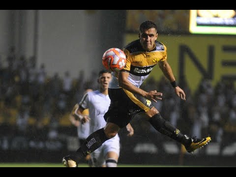 Pedro Bortoluzo - Atacante/ Striker - 2020