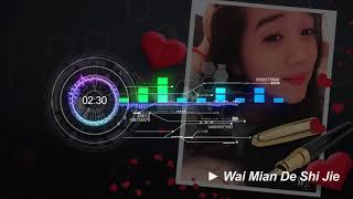 外面的世界/ Wai Mian De Shi Jie chinese remix